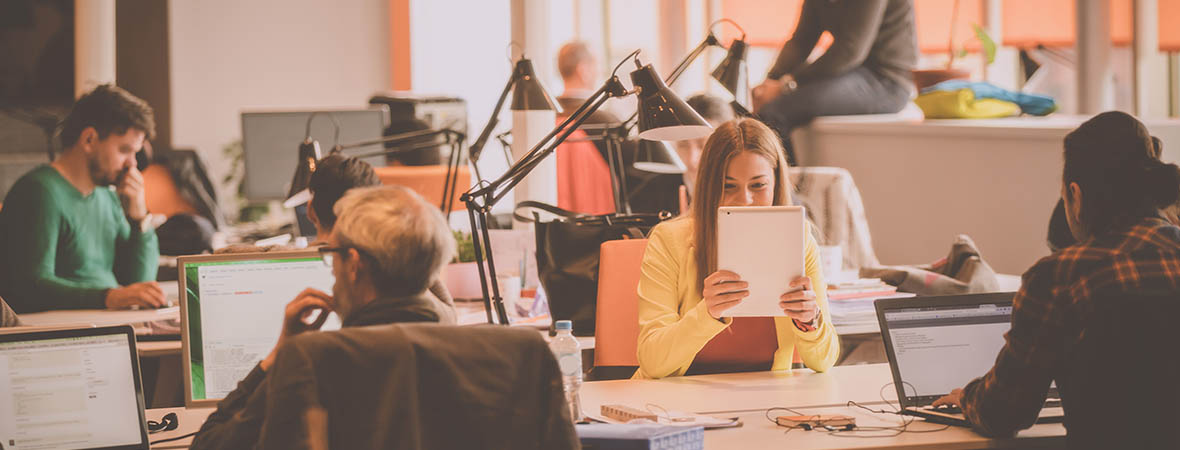 ¿Cuál es el estado actual del software en las empresas españolas?